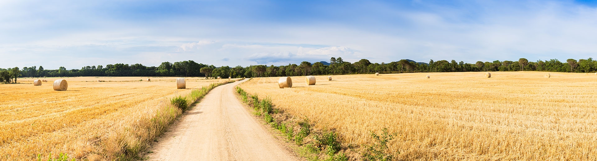 dirt road with hay on each side