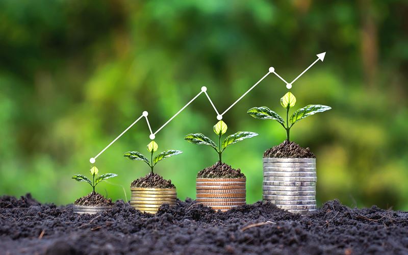 stacked coins with plants and line graph